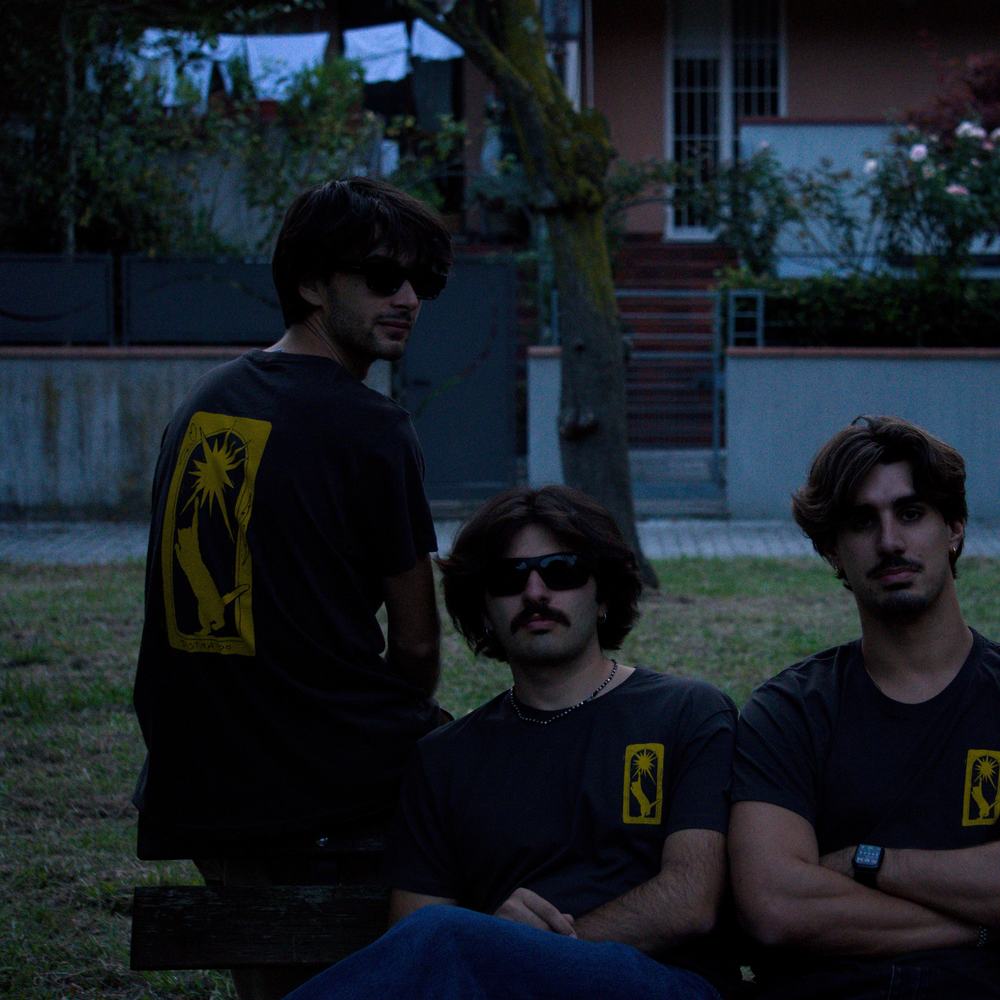 I Distraido seduti al parco con le magliette